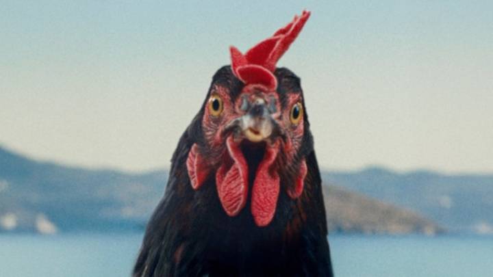 György Pálfi Presents 'Hen' (Exclusive San Sebastian Trailer)