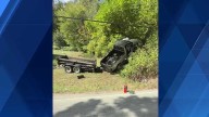 Truck into tree ---Elizabeth Township