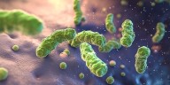 Las bacterias carnívoras avanzan en Estados Unidos por el cambio climático: cómo protegerse