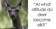 76 Of The Dumbest And Most Out Of Touch Things People Have Been Told