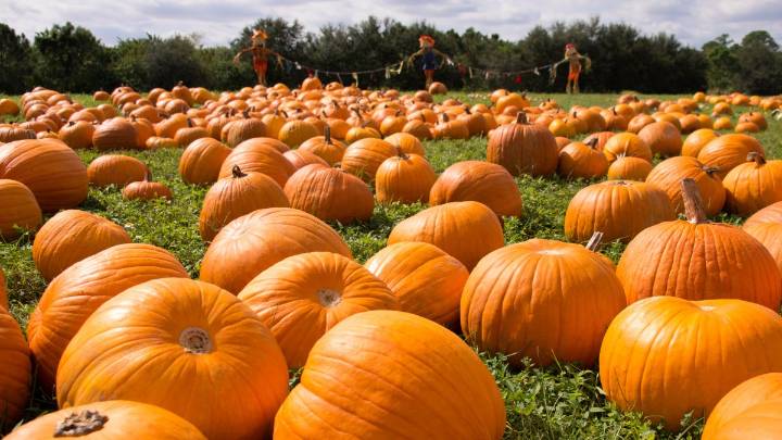 Summer comes to an end as the fall equinox closes in