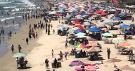 Estudio de capacidad de carga busca ordenamiento en playa de Rosarito