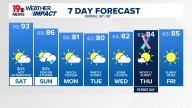 WLTX News19: Weather updates for Columbia and South Carolina