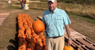 'There's something strange in the pumpkin fields.' Drought & heat frightening farmers
