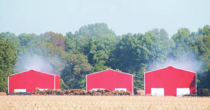 CCFR: Know what color of tobacco barn smoke to watch for