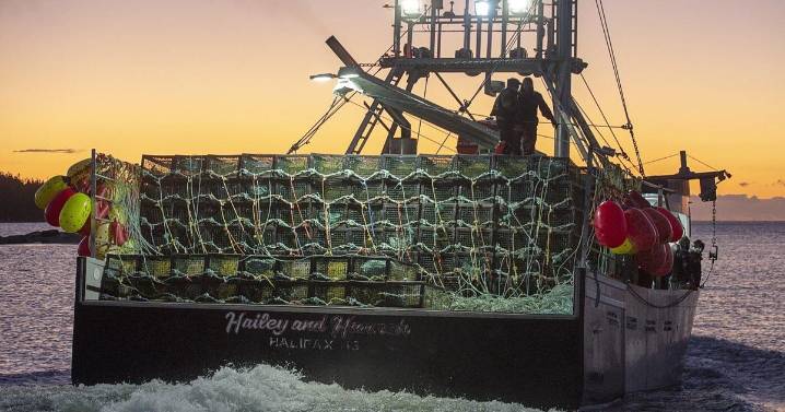 Fishery officers in Nova Scotia seize more than 1,000 lobster traps, make arrests