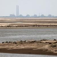 Zaporizhzhia nuclear plant off grid; Russia, Ukraine trade blame