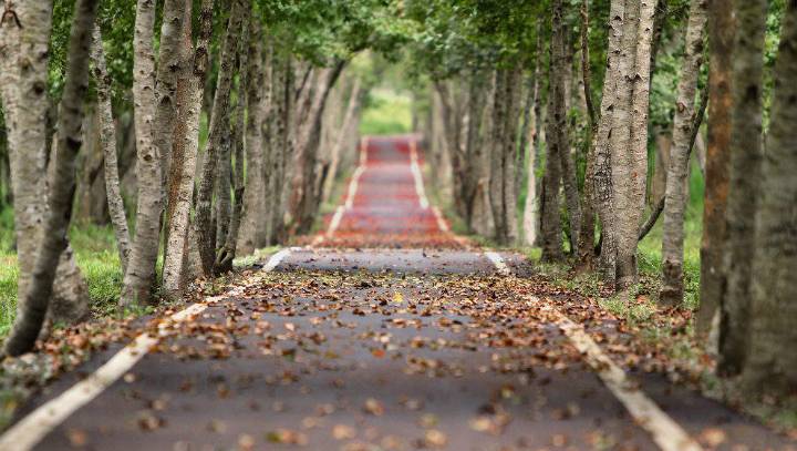 ¿Cuándo comienza el otoño y cómo será el tiempo en Cantabria?