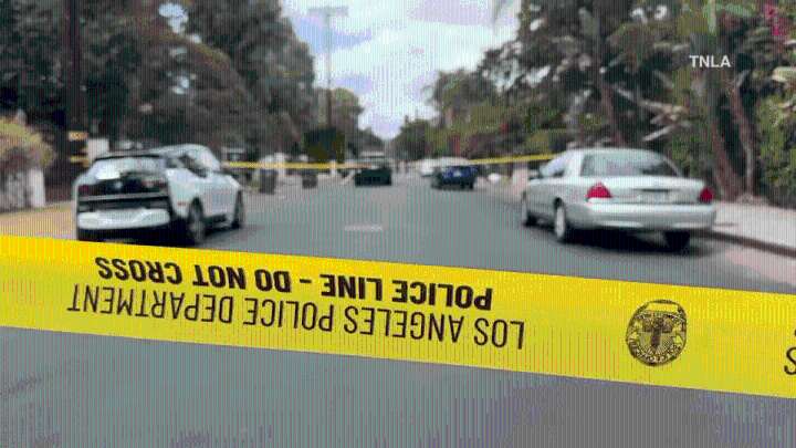 Group of thieves burglarize home in Woodland Hills