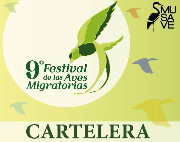 Será del 4 al 26 de octubre el noveno Festival de Aves Migratorias en el MUSAVE