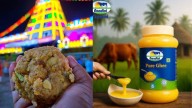Tirupati Laddu’s Secret Ingredient: Nandini Ghee Sets A New Temple Record