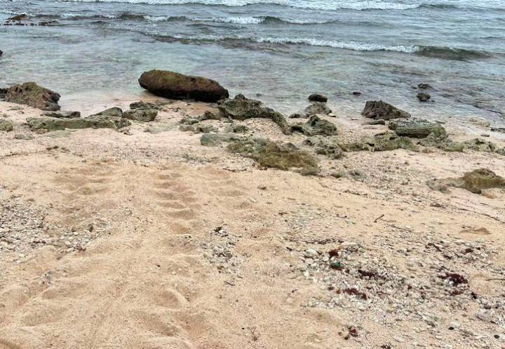 Destina Semarnat zona de playas al municipio de Bacalar