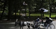 NYC mayor throws support behind bill to ban Central Park horse carriages