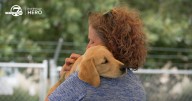 Denver7 Everyday Hero gives her time to raise future service dogs