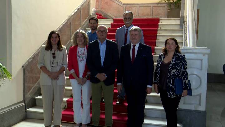 Parlamentarios europeos investigan en Canarias la crisis migratoria y piden soluciones urgentes