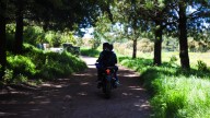 Se apoderan motociclistas del Parque Alameda 2000
