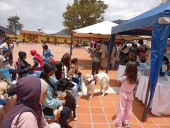 Gobierno de Mérida conmemora declaratoria del perro Mucuchíes como raza autóctona con jornada veterinaria