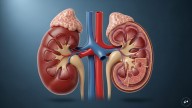 7 Early Symptoms Of Kidney Problems You Shouldn Not Ignore