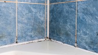 The Easy Shower Door Trick That Stops Mold Before It Starts