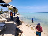 Erosión en Progreso: Ayuntamiento retira piedras de playa del malecón
