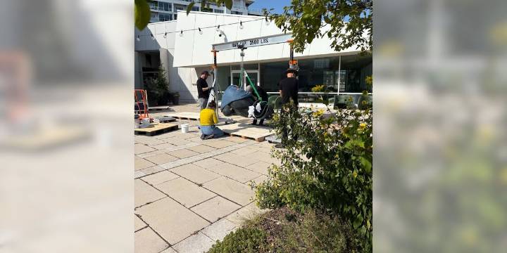 Rooftop garden of Madison Museum of Contemporary Art to undergo renovations
