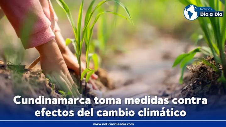 Cundinamarca: en marcha plan para fortalecer producción rural frente al cambio climático