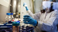 El cáncer hereditario, desde el laboratorio del CNIO: la ayuda a futuros pacientes a través del "árbol genealógico"