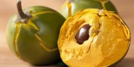 Lúcuma: el superalimento andino que regula el azúcar, combate el envejecimiento y fortalece la salud integral