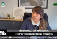 El Tribunal de Disciplina del PJ evalúa la votación de Charole por el archivo de la cláusula gatillo. “Hay una discriminación hacia mi persona”