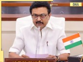 Vijay Rally Stampede: Death toll climbs to 39 at Karur TVK rally, CM MK Stalin o