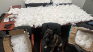 500 pounds of meth seized in San Jose bust, 2 suspects…