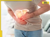 Fatty liver: Superfoods you must eat to can protect your liver naturally