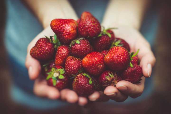 El mayor estudio sobre alimentación sostenible lo confirma: la proteína vegetal gana la partida