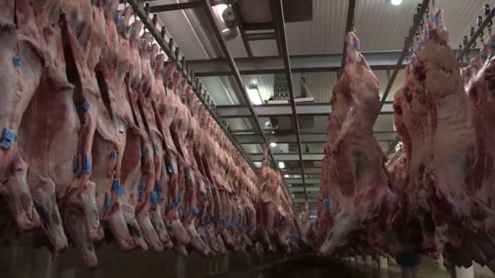 El Gobierno elimina las retenciones a la carne avícola y bovina