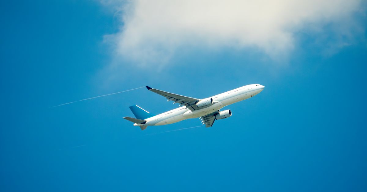 Family claim back '£1,700 in flight compensation' thanks to Martin Lewis