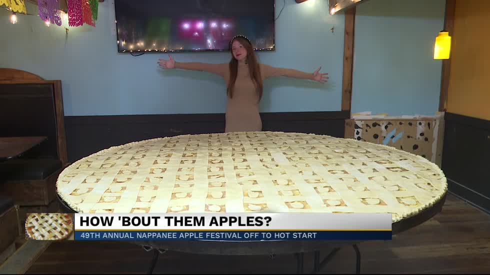 49th Annual Nappanee Apple Festival Kicks Off with 600