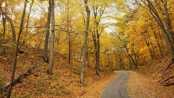 Fall events at Illinois parks: hikes, history and Halloween