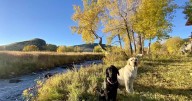 Weather Wise: Fall Color Forecast