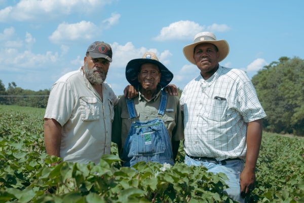  Highs and Lows on the Family Farm