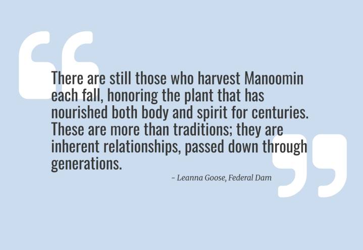 Letter to the Editor: Honoring the wisdom of Manoomin by protecting what sustains us