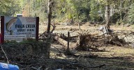 McDowell County's Buck Creek Trout Farm saw "total devastation" from Hurricane Helene