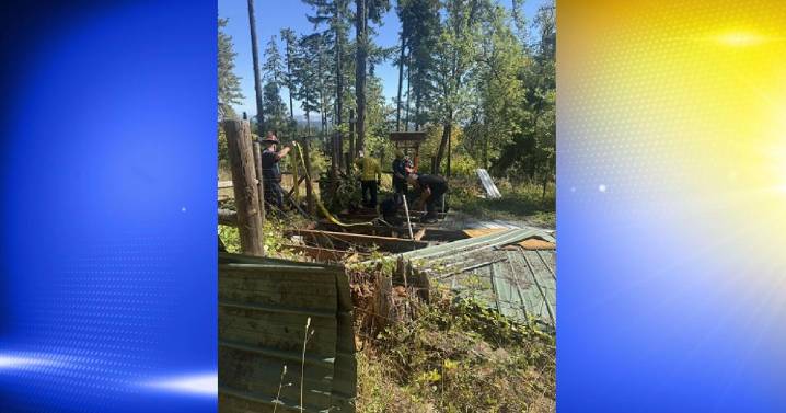 Local fire crews in Eugene save horse from cistern mishap