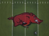 Hog on the Field: Razorback painted at War Memorial Stadium ahead of Arkansas