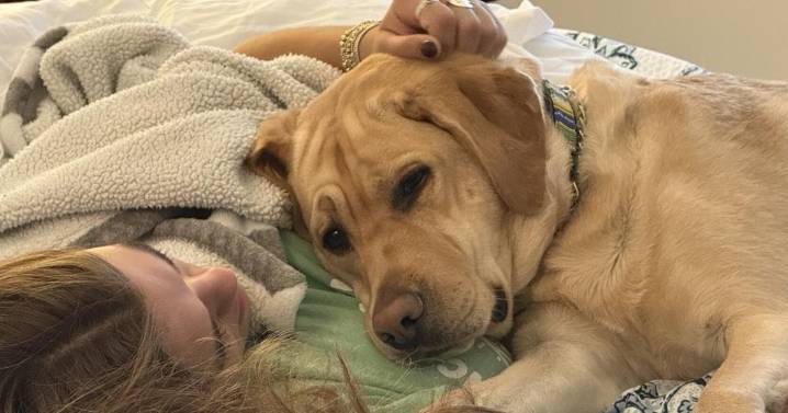 Snooping Pooch Sneaks a Snack of Eczema Cream
