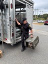 More than 100 animals seized from Plympton home during police investigation, officials say