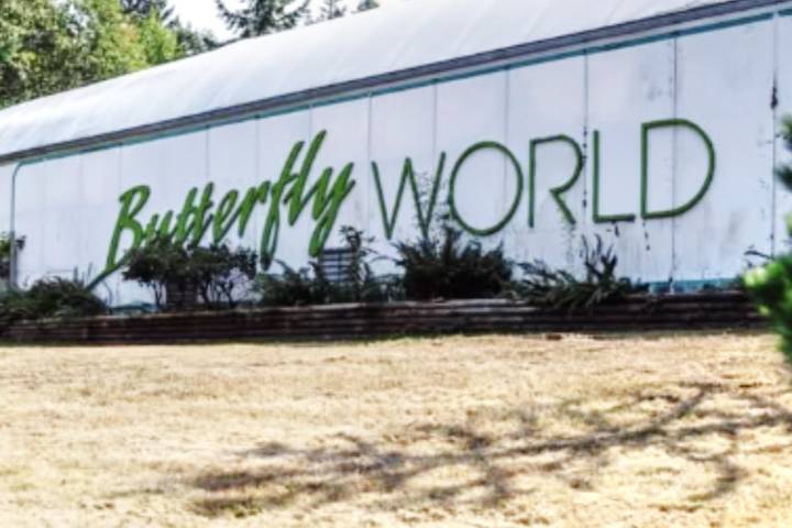 Butterfly World tourist attraction in Coombs up for sale for $2.25M