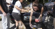 After cuts to food stamps, Trump administration ends annual report on hunger in America