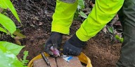 Ejército destruyó centro de producción de cocaína del ELN en Norte de Santander: incautaron media tonelada de droga