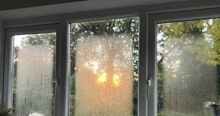 UK households told to rub vinegar on their windows as temperatures plummet
