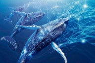 De ballenas a algoritmos: por qué AL puede liderar una IA inspirada en la naturaleza